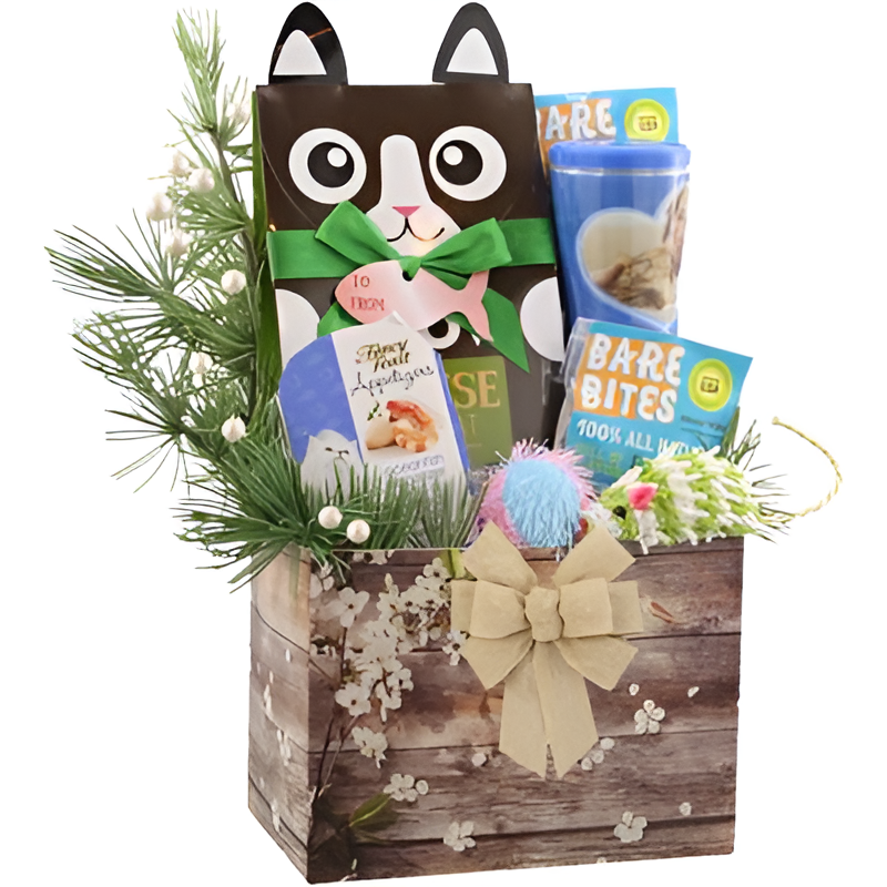 Cat Treats & Toy Gift