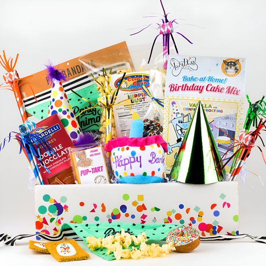 Birthday Paw-ty Buddies: Gift Basket for Owners & Dogs