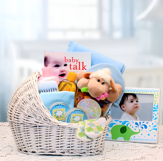 Welcome Baby Bassinet New Baby Basket-Blue