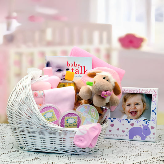 Welcome Baby Bassinet New Baby Basket-Pink
