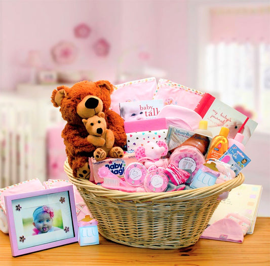 Deluxe Welcome Home Precious Baby Basket-Pink