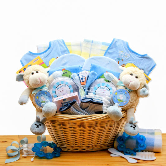 Double Delight Twins New Baby Gift Basket - Blue