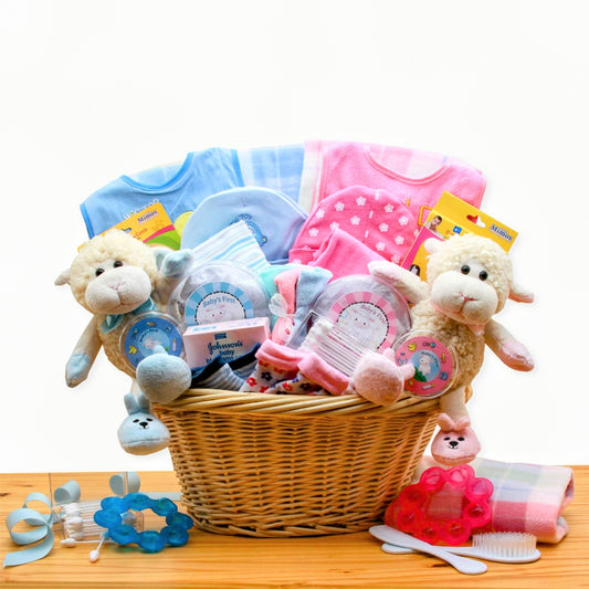 Double Delight Twins New Baby Gift Basket - Pink & Blue