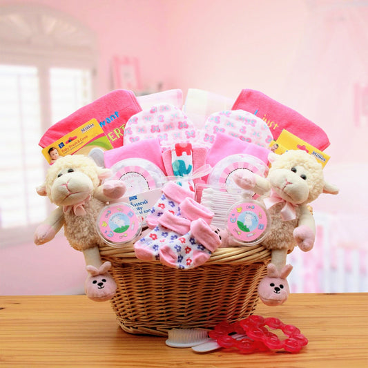 Double Delight Twins New Babies Gift Basket - Pink