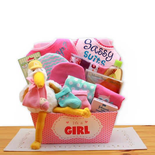 A Special Delivery New Baby Gift Basket