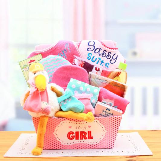 A Special Delivery New Baby Gift Basket