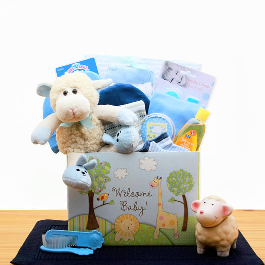 Welcome New Baby Gift Box - Blue