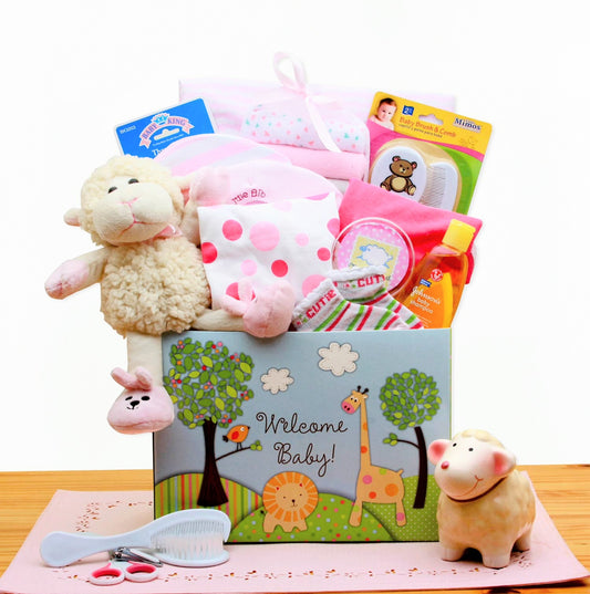 Welcome New Baby Gift Box - Pink