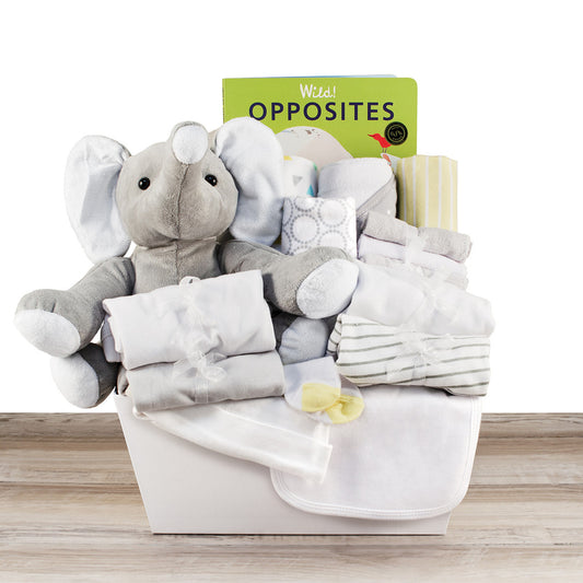 Born to be Wild: New Baby Gift Basket