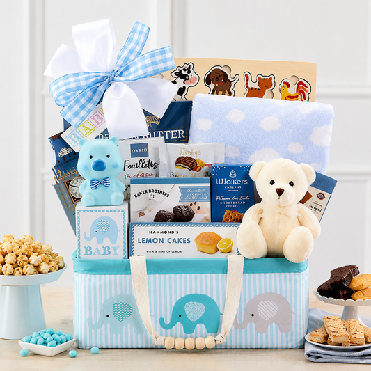 Bundle of Joy: Baby Boy Gift Basket