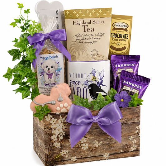 Comfort for Two: Dog & Owner Get-Well Gift