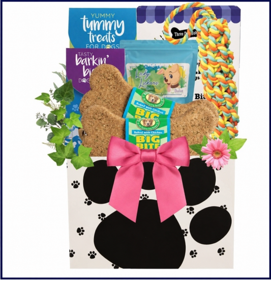 Puppy Love & Play: Valentine Dog Gift Basket