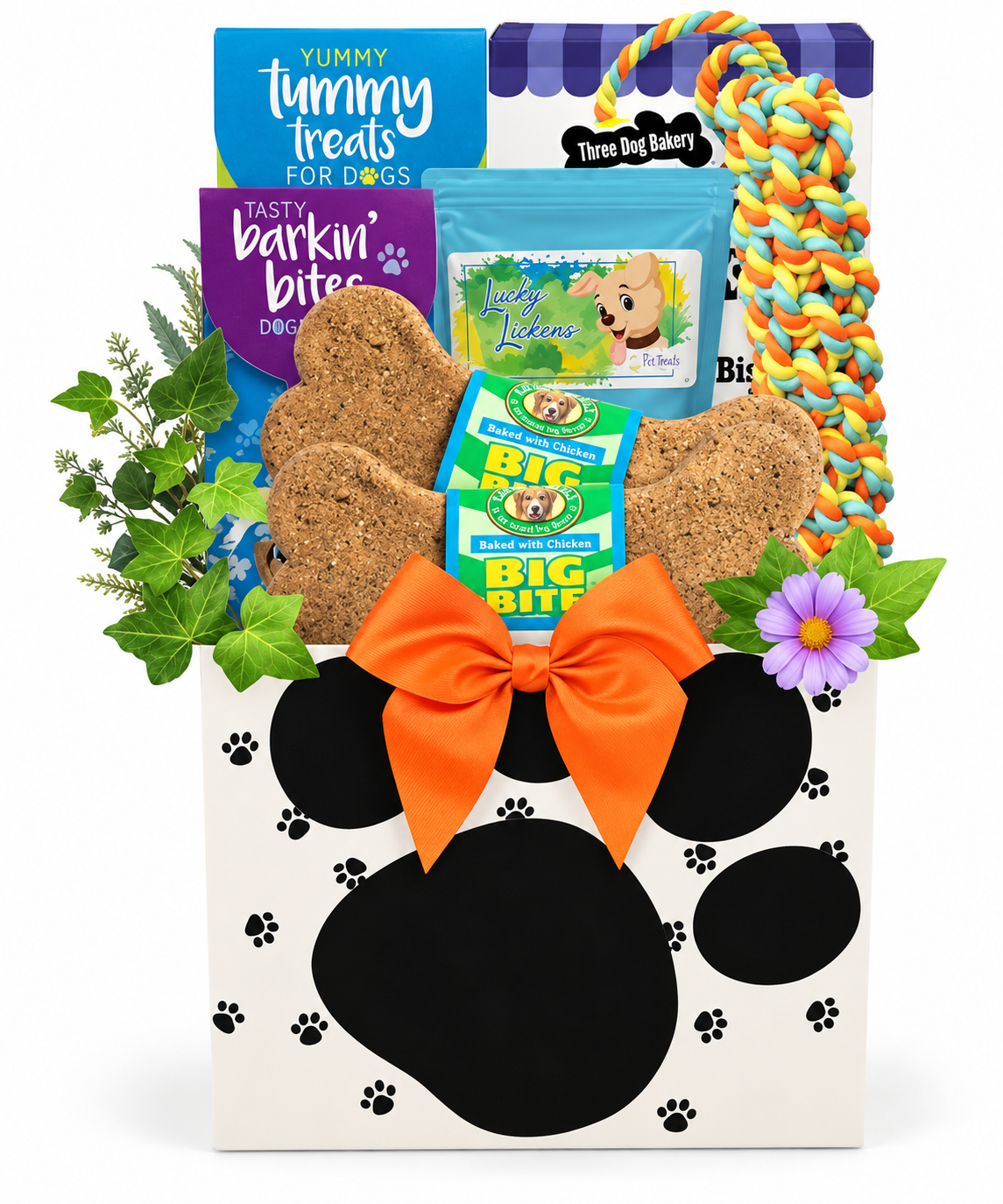 Tricks, Treats & Tail Wags: Halloween Dog Gift