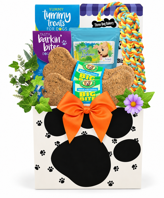 Tricks, Treats & Tail Wags: Halloween Dog Gift