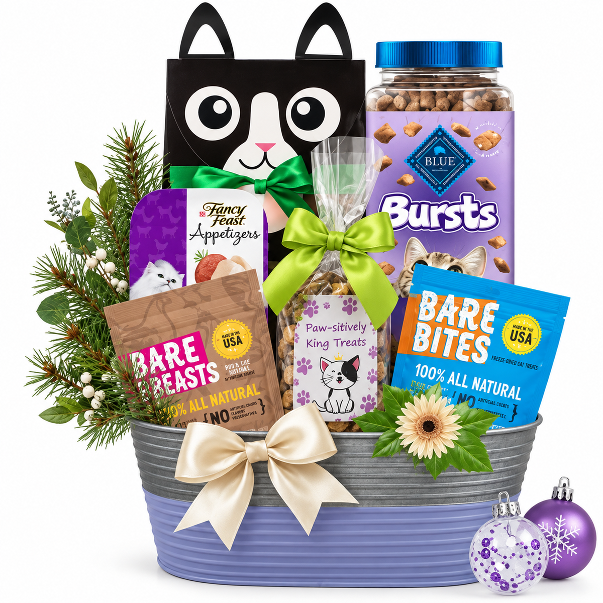 Santa Claws: Christmas Cat Treat Gift