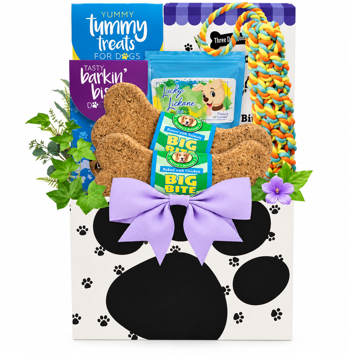 Back to Tail Wags: Get-Well Dog Gift