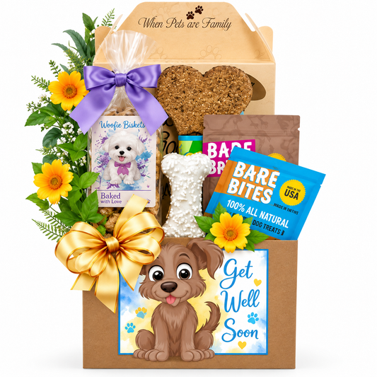 Feel Better, Furry Friend: Get-Well Dog Gift