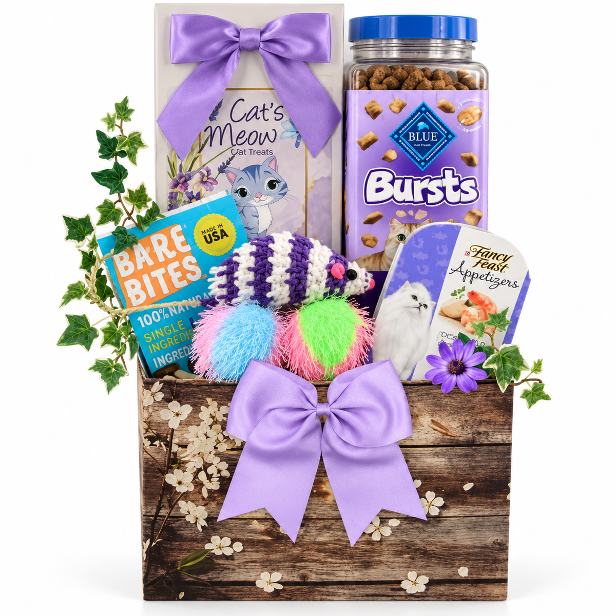 Whiskers & Play: Cat Treat & Toy Gift