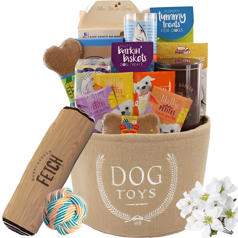 Holiday Classic Dog Toy Bin and Treats