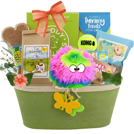 Let's Pawty Dog Gift