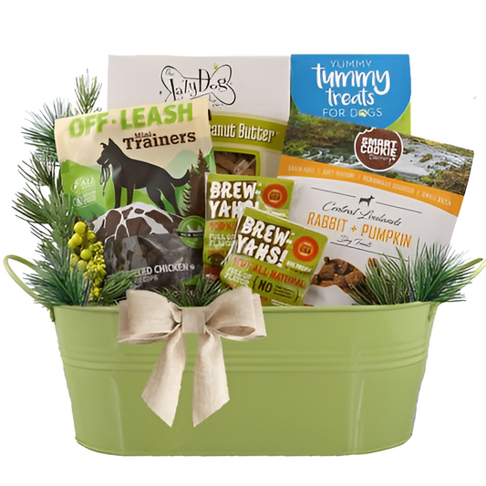 Outdoor Adventure Dog Gift