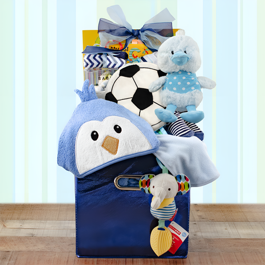 Cherished Moments: Baby Boy Gift Basket