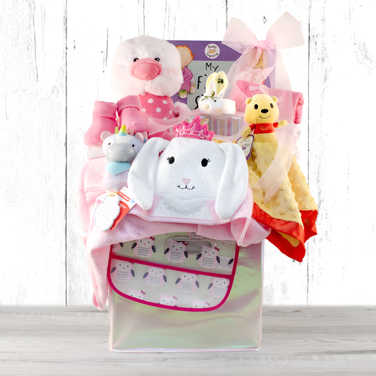 Cherished Moments: Baby Girl Gift Basket