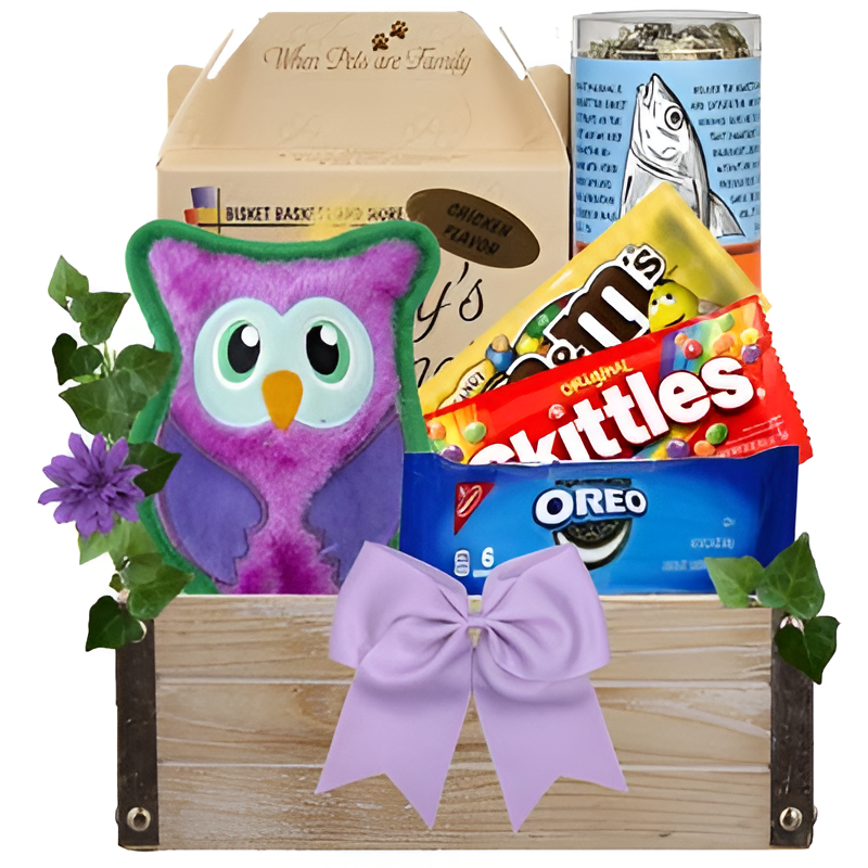 You're a Hoot Dog & Owner Gift