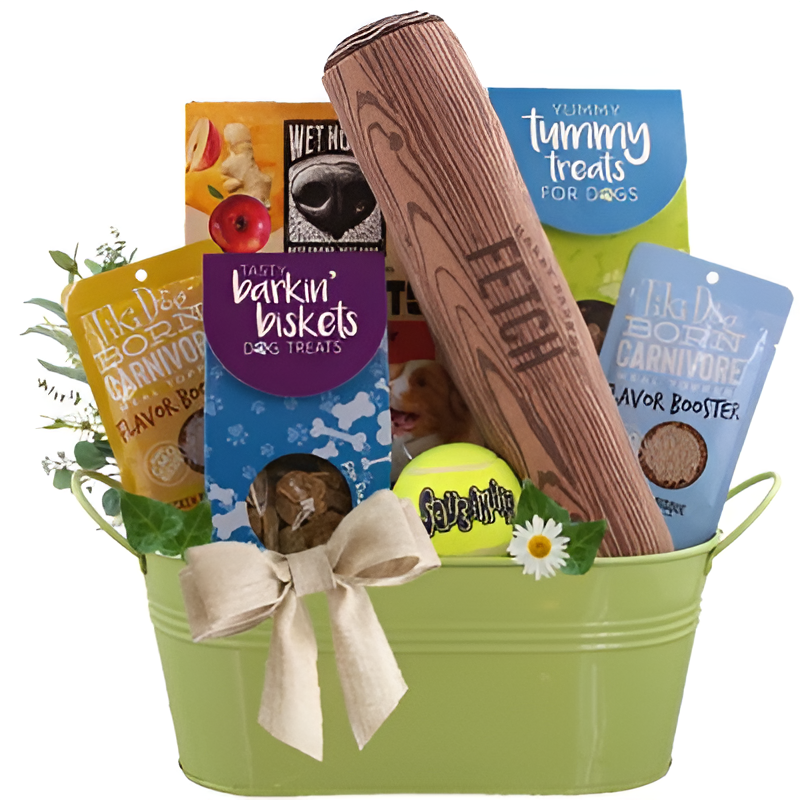 Fun and Games Dog Gift