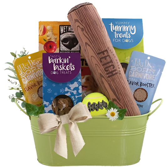 Fun and Games Dog Gift