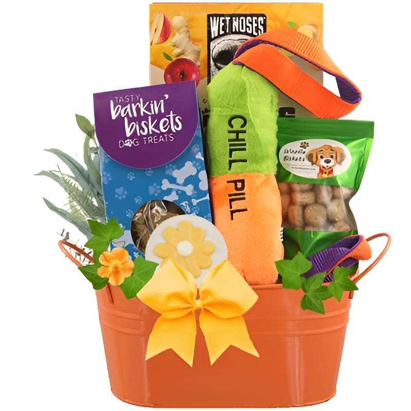 Cool Dog Gift