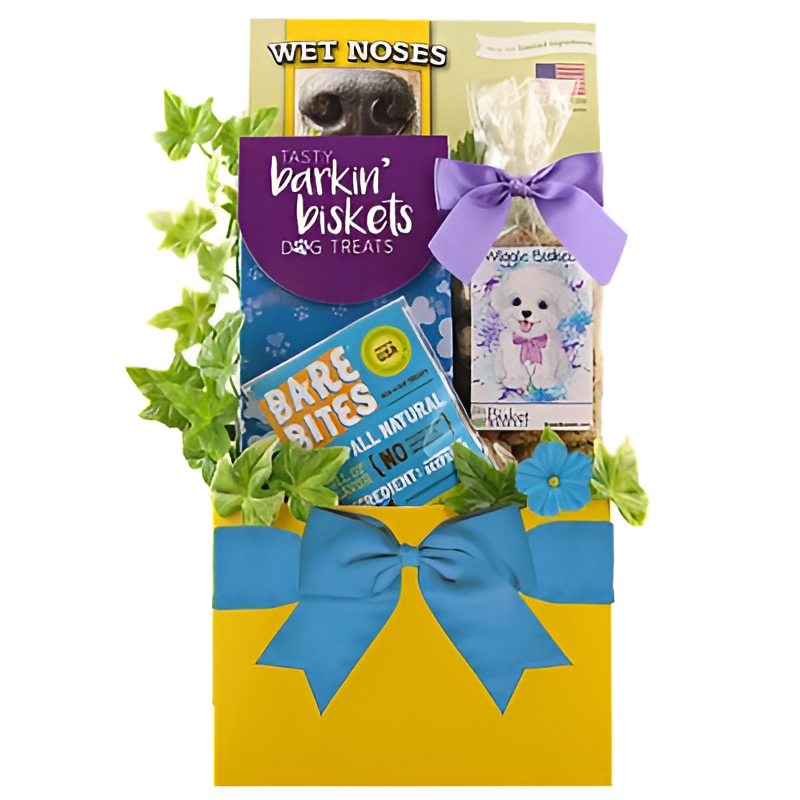 Dog Treat Gift