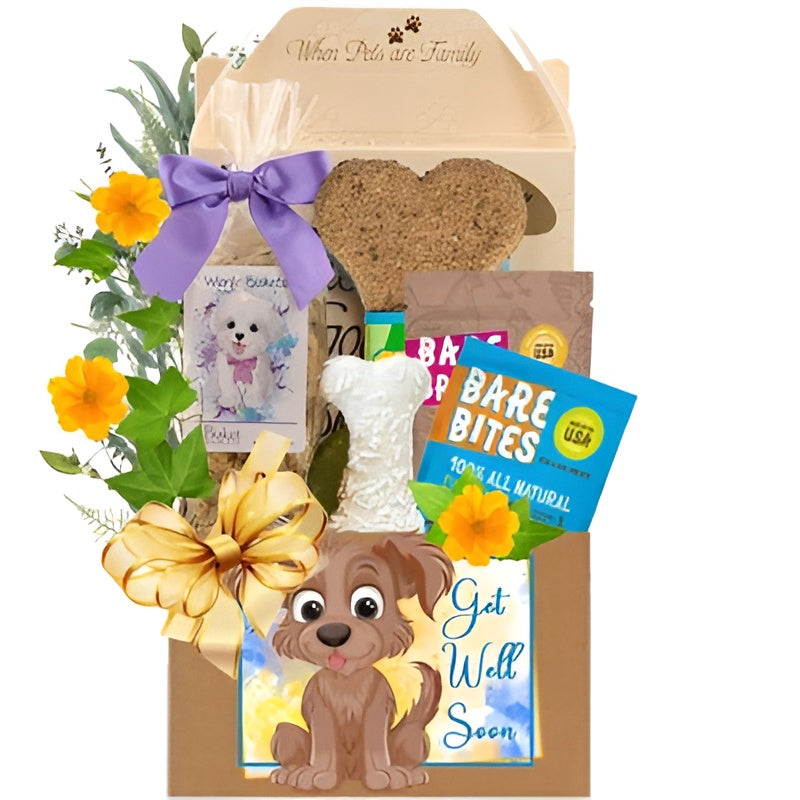 Make it All Better Dog Gift