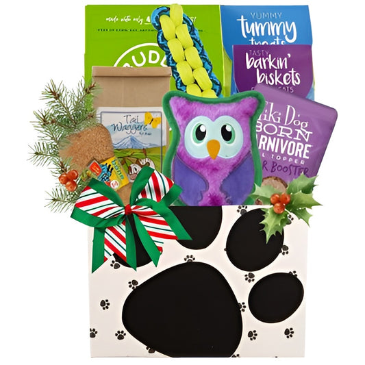 Treats Ahoy Holiday Dog Gift